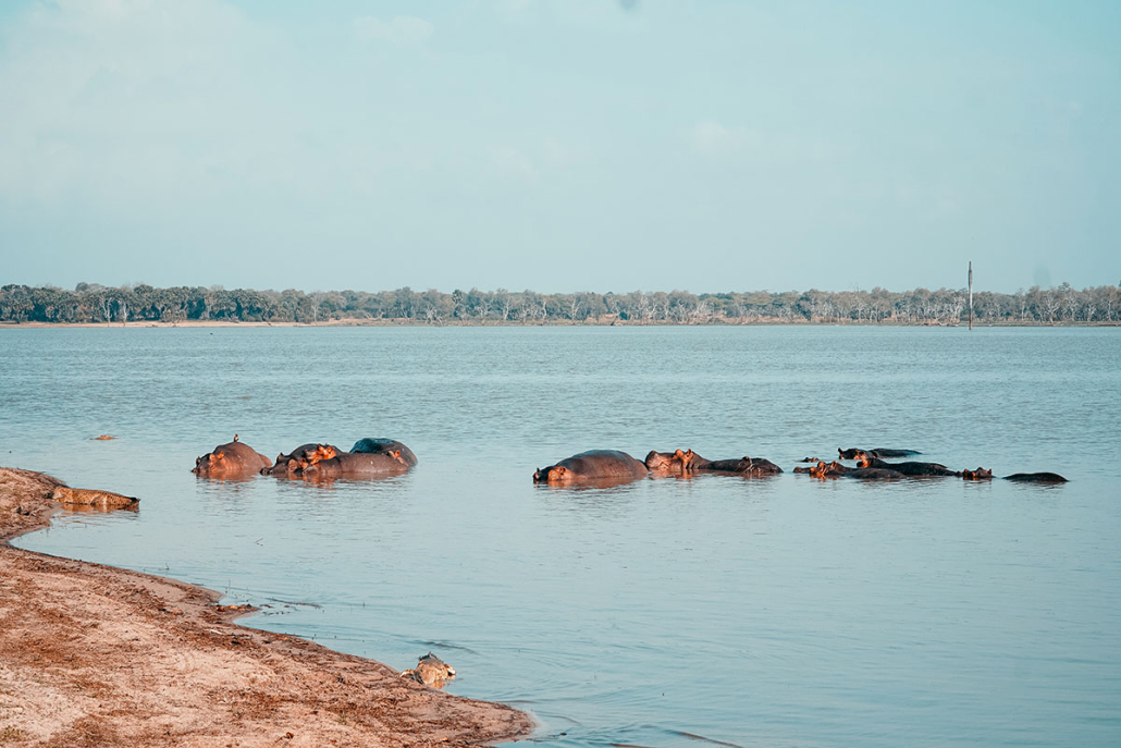 selous-game-reserve-1