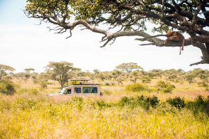 tarangire-national-park-1